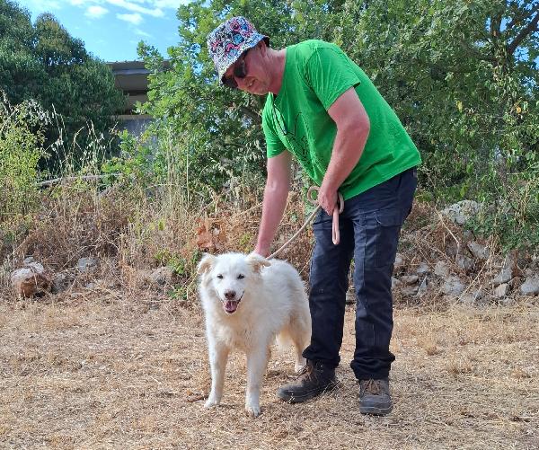 Nonna Penny Cerca Famiglia. Info Monica 3890238584 Foto 7